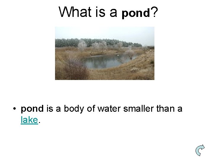 What is a pond? • pond is a body of water smaller than a