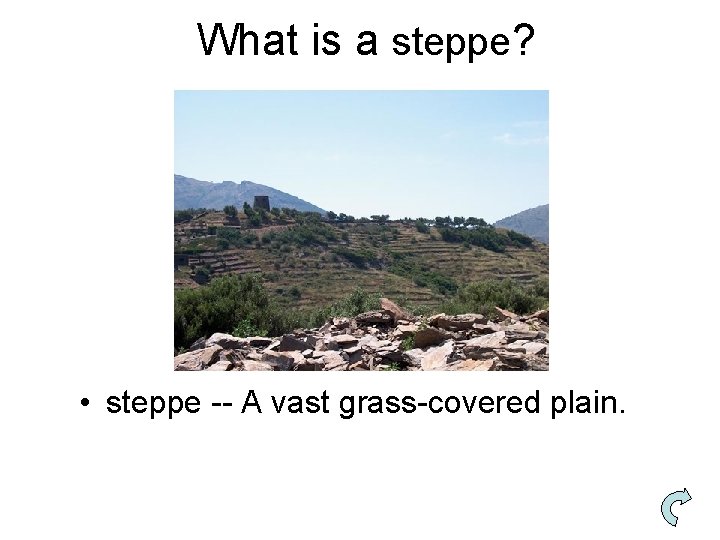 What is a steppe? • steppe -- A vast grass-covered plain. 