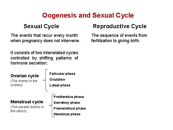 Oogenesis and Sexual Cycle The events that recur every month when pregnancy does not