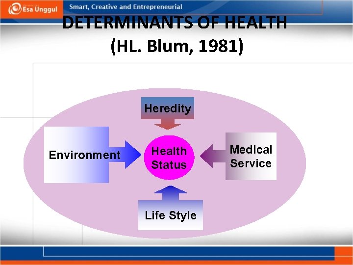 DETERMINANTS OF HEALTH (HL. Blum, 1981) Heredity Environment Health Status Life Style Medical Service