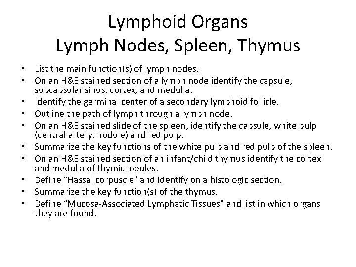 Lymphoid Organs Lymph Nodes, Spleen, Thymus • List the main function(s) of lymph nodes.