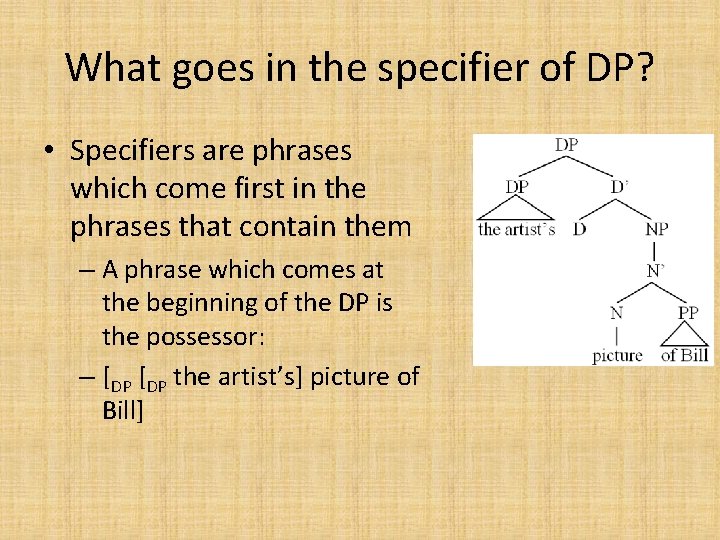 What goes in the specifier of DP? • Specifiers are phrases which come first What goes in the specifier of DP? • Specifiers are phrases which come first