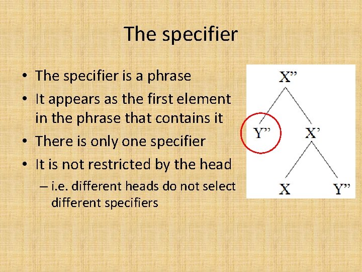 The specifier • The specifier is a phrase • It appears as the first The specifier • The specifier is a phrase • It appears as the first