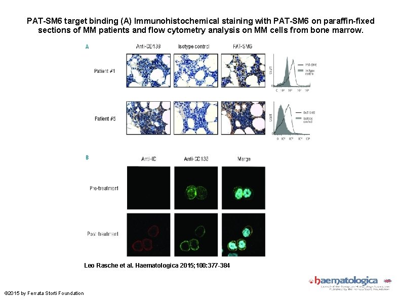 PAT-SM 6 target binding (A) Immunohistochemical staining with PAT-SM 6 on paraffin-fixed sections of