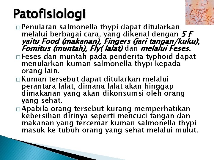 Patofisiologi � Penularan salmonella thypi dapat ditularkan melalui berbagai cara, yang dikenal dengan 5