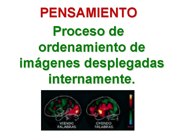 PENSAMIENTO Proceso de ordenamiento de imágenes desplegadas internamente. 