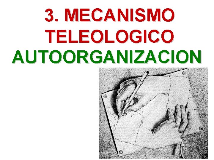 3. MECANISMO TELEOLOGICO AUTOORGANIZACION 