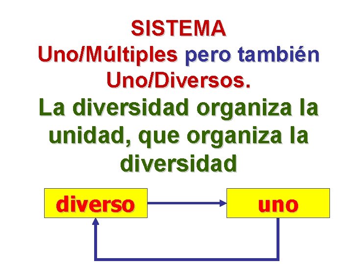 SISTEMA Uno/Múltiples pero también Uno/Diversos. La diversidad organiza la unidad, que organiza la diversidad