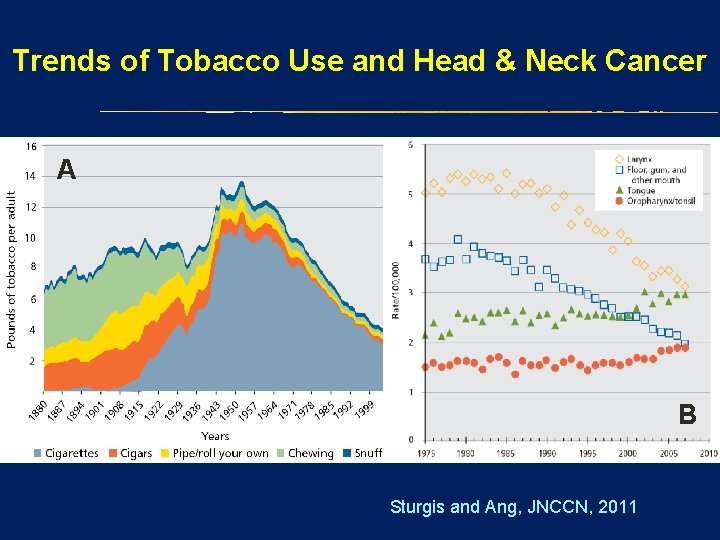 Trends of Tobacco Use and Head & Neck Cancer A B Sturgis and Ang,