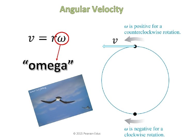 “omega” © 2015 Pearson Education, Inc. 