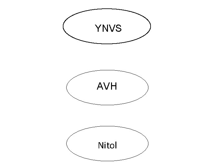 YNVS AVH Nitol 