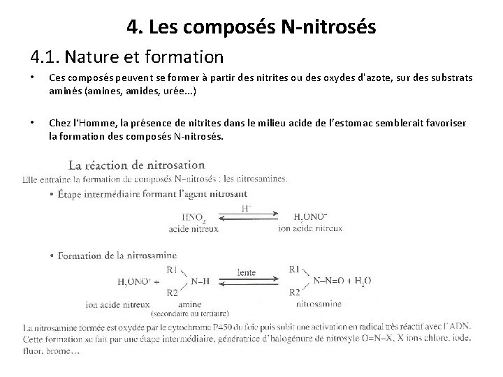 4. Les composés N-nitrosés 4. 1. Nature et formation • Ces composés peuvent se