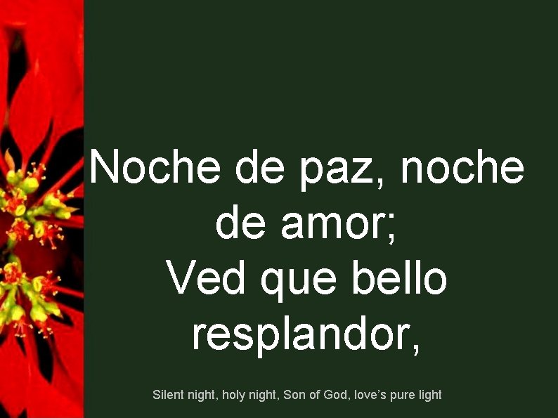 Noche de paz, noche de amor; Ved que bello resplandor, Silent night, holy night, Noche de paz, noche de amor; Ved que bello resplandor, Silent night, holy night,