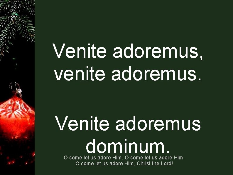 Venite adoremus, venite adoremus. Venite adoremus dominum. O come let us adore Him, Christ