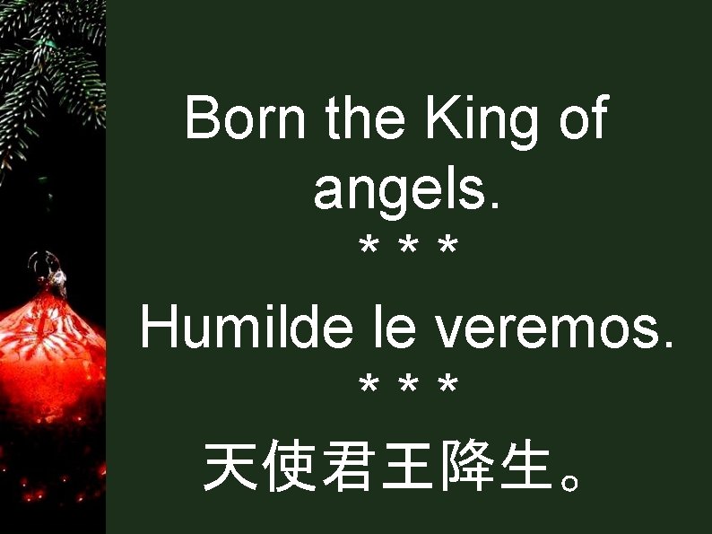 Born the King of angels. *** Humilde le veremos. *** 天使君王降生。 