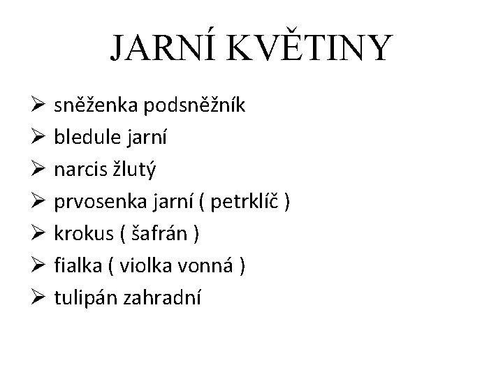 JARNÍ KVĚTINY Ø sněženka podsněžník Ø bledule jarní Ø narcis žlutý Ø prvosenka jarní