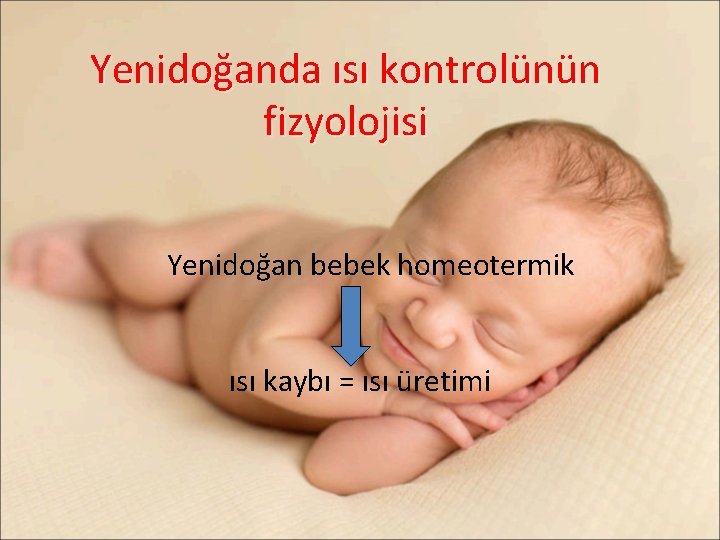 Yenidoğanda ısı kontrolünün fizyolojisi Yenidoğan bebek homeotermik ısı kaybı = ısı üretimi 