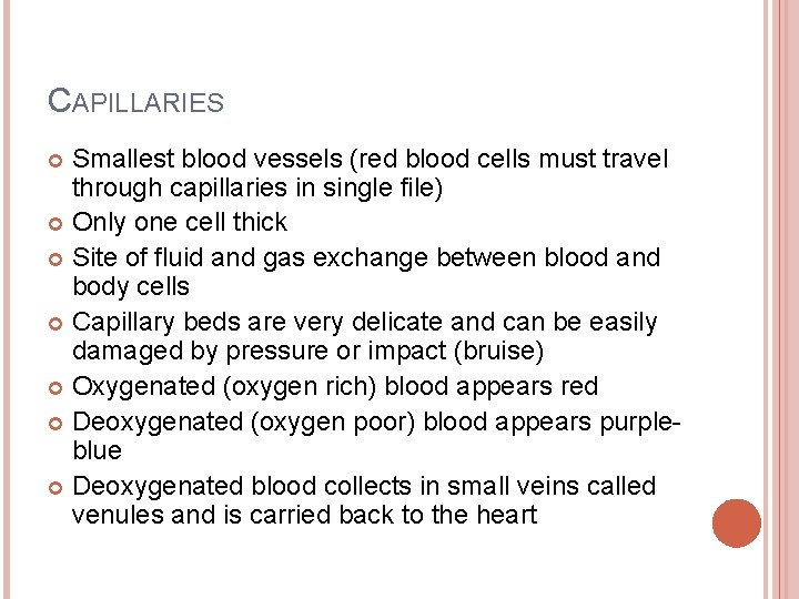 CAPILLARIES Smallest blood vessels (red blood cells must travel through capillaries in single file)