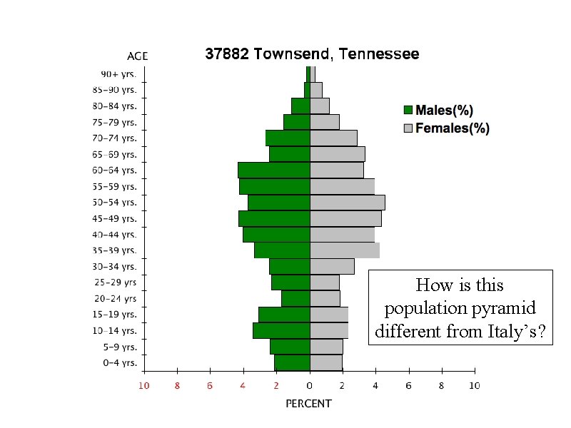 How is this population pyramid different from Italy’s? 