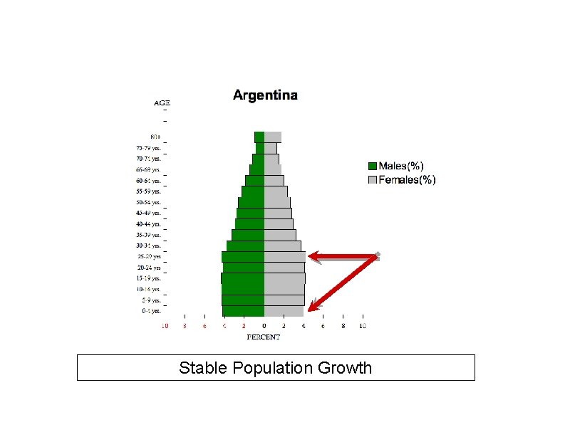 Stable Population Growth 