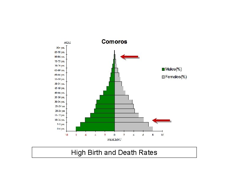 High Birth and Death Rates 