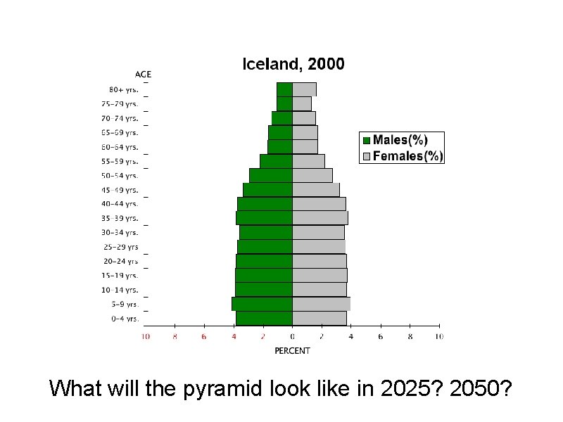 What will the pyramid look like in 2025? 2050? 