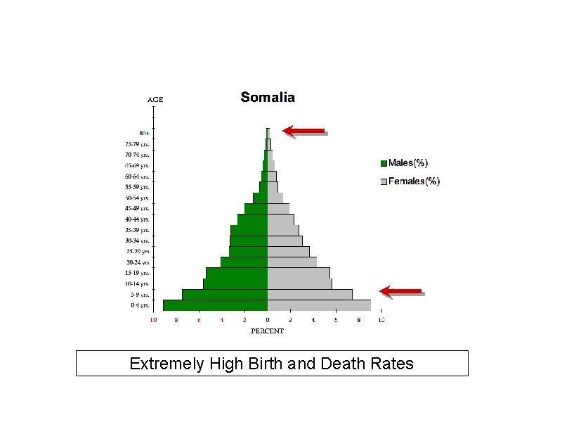 Extremely High Birth and Death Rates 