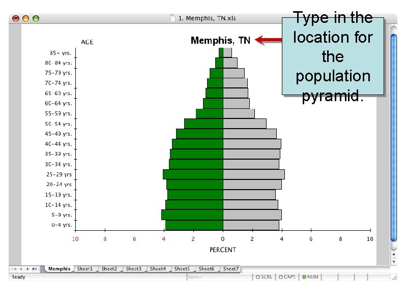 Type in the location for the population pyramid. 