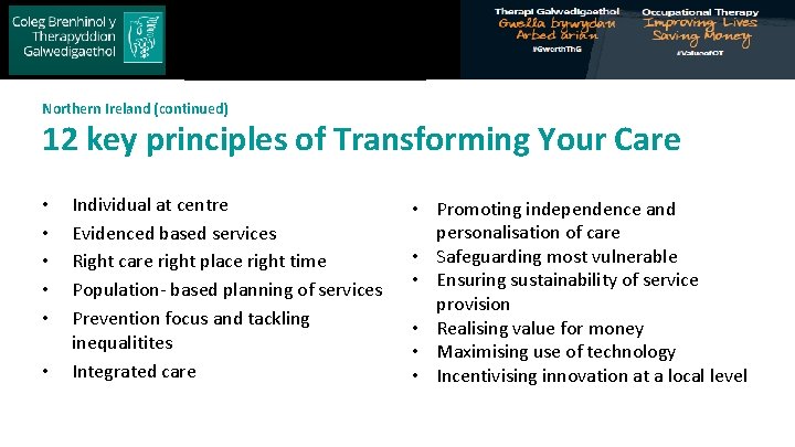 Royal College of Occupational Therapists Northern Ireland (continued) 12 key principles of Transforming Your