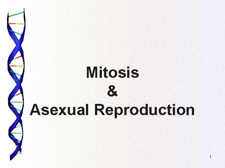 Mitosis & Asexual Reproduction 1 