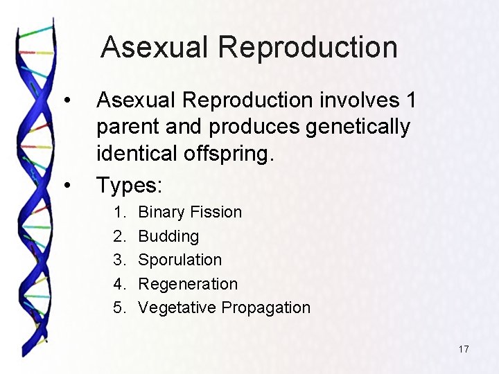 Asexual Reproduction • • Asexual Reproduction involves 1 parent and produces genetically identical offspring.