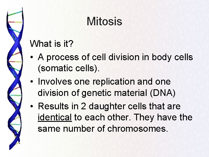 Mitosis What is it? • A process of cell division in body cells (somatic