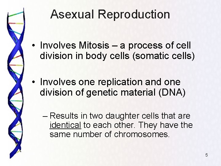 Asexual Reproduction • Involves Mitosis – a process of cell division in body cells