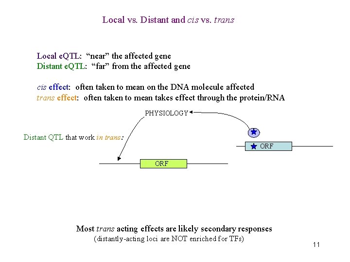 Local vs. Distant and cis vs. trans Local e. QTL: “near” the affected gene