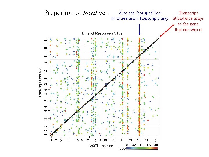 Also see ‘hot spot’ loci Proportion of local versus distant linkages Transcript to where