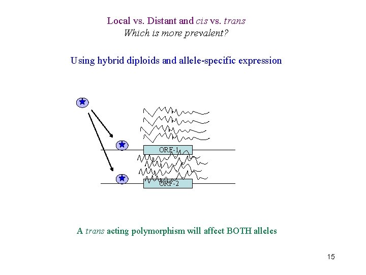 Local vs. Distant and cis vs. trans Which is more prevalent? Using hybrid diploids