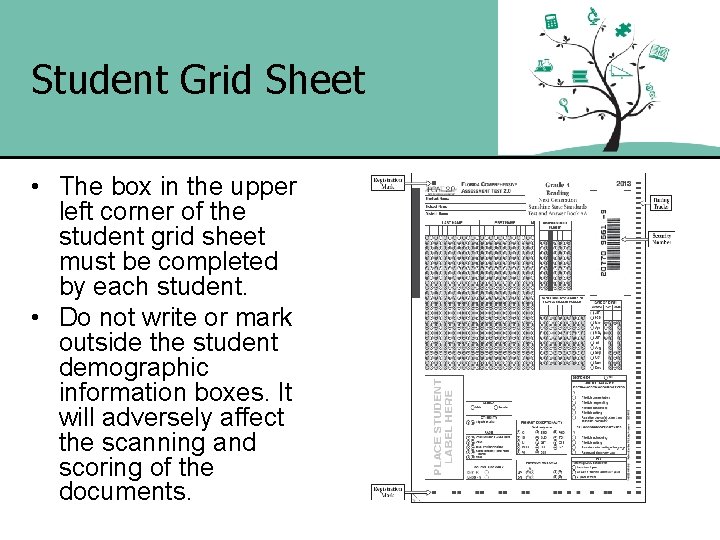 Student Grid Sheet • The box in the upper left corner of the student