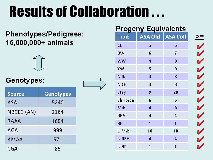 Results of Collaboration. . . Phenotypes/Pedigrees: 15, 000+ animals Genotypes: Source ASA Genotypes 5240