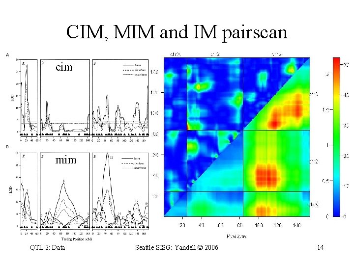 CIM, MIM and IM pairscan cim mim QTL 2: Data Seattle SISG: Yandell ©