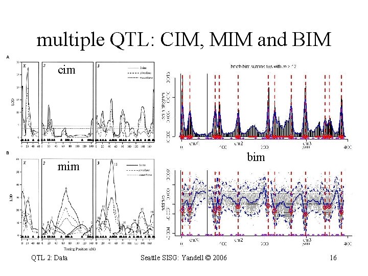 multiple QTL: CIM, MIM and BIM cim bim mim QTL 2: Data Seattle SISG: