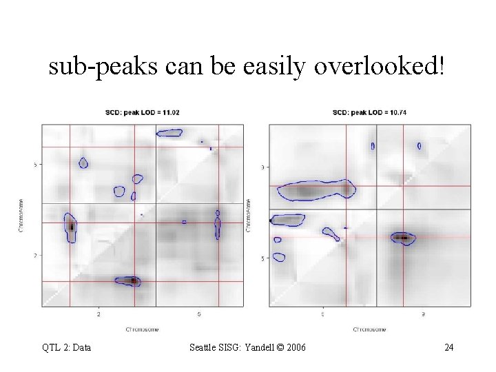 sub-peaks can be easily overlooked! QTL 2: Data Seattle SISG: Yandell © 2006 24