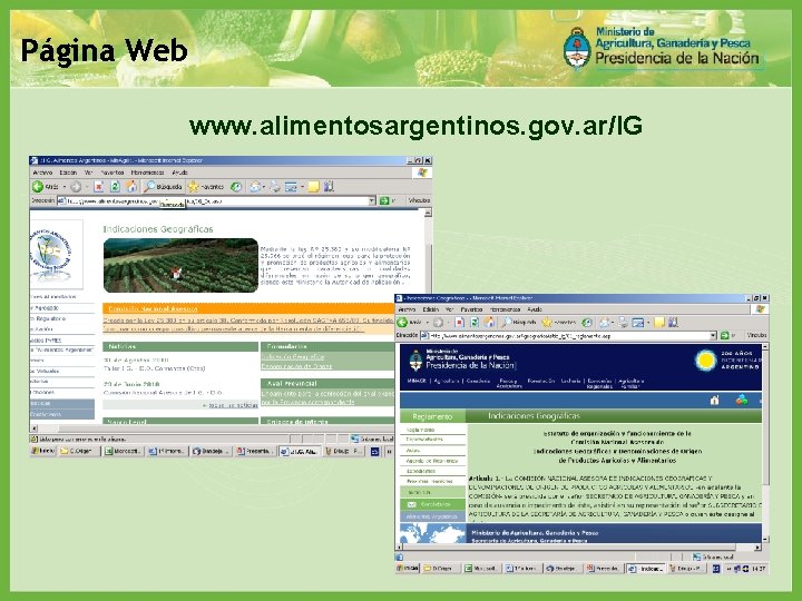 Página Web www. alimentosargentinos. gov. ar/IG 