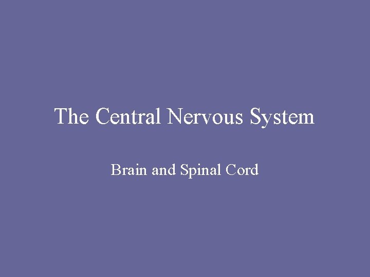 The Central Nervous System Brain and Spinal Cord 