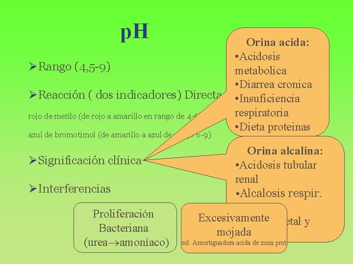 p. H Orina acida: • Acidosis ØRango (4, 5 -9) metabolica • Diarrea cronica