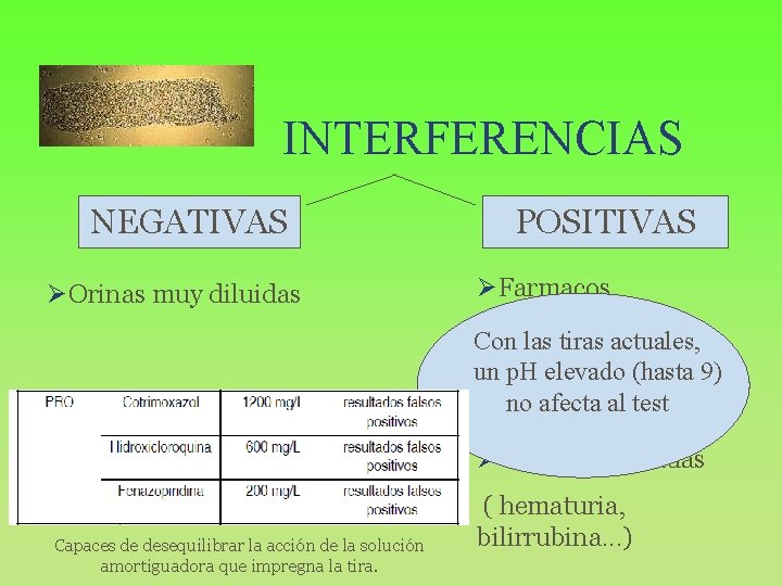 INTERFERENCIAS NEGATIVAS ØOrinas muy diluidas POSITIVAS ØFarmacos ØBacterias Con las tiras actuales, ORINA un