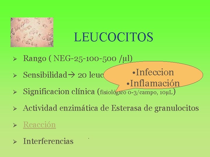 LEUCOCITOS Ø Rango ( NEG-25 -100 -500 /µl) Ø Sensibilidad 20 leucocitos / •