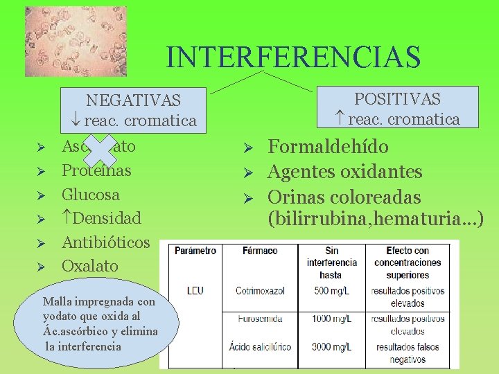 INTERFERENCIAS POSITIVAS reac. cromatica NEGATIVAS reac. cromatica Ø Ø Ø Ascorbato Proteínas Glucosa Densidad