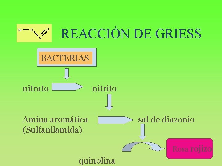 REACCIÓN DE GRIESS BACTERIAS nitrato nitrito Amina aromática (Sulfanilamida) sal de diazonio Rosa rojizo
