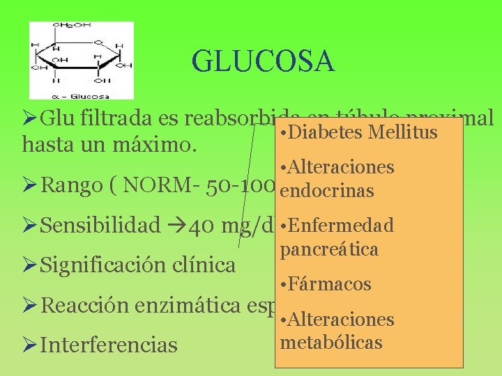 GLUCOSA ØGlu filtrada es reabsorbida en túbulo proximal • Diabetes Mellitus hasta un máximo.