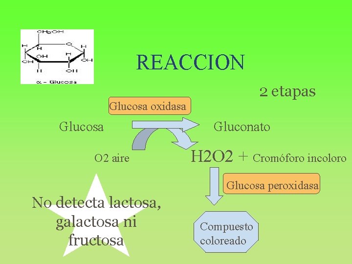 REACCION 2 etapas Glucosa oxidasa Glucosa O 2 aire Gluconato H 2 O 2